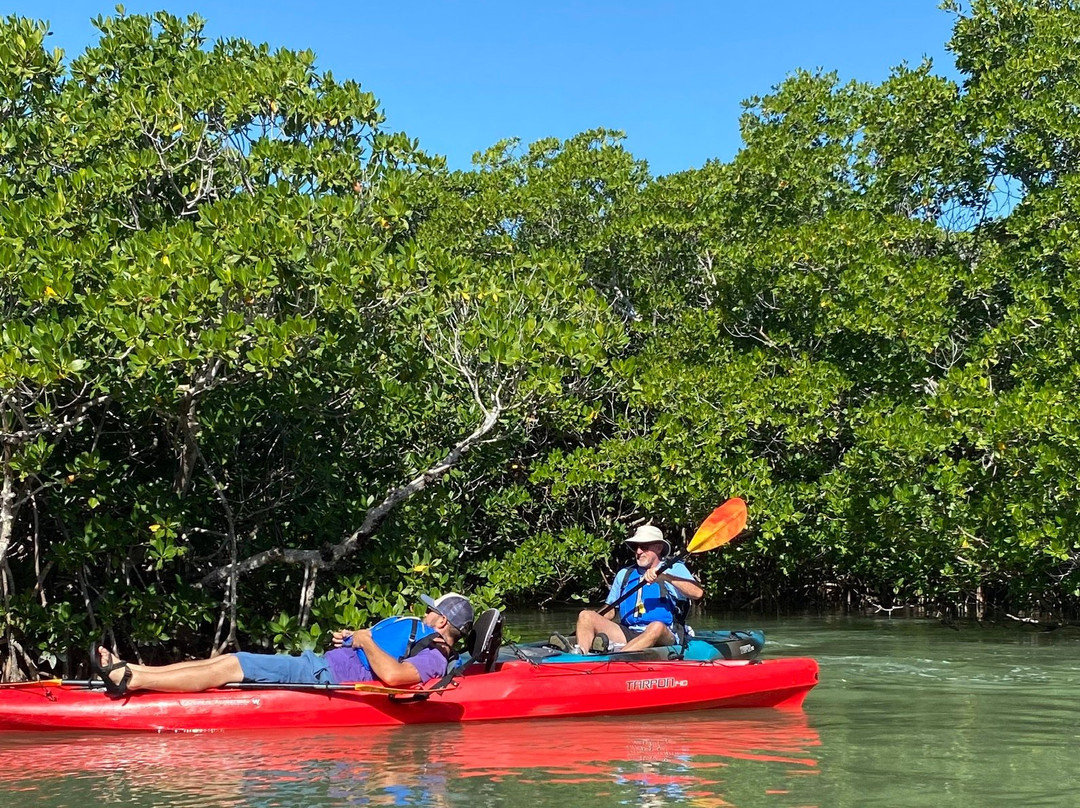 Great Bike Tours-谢尔本必去景点
