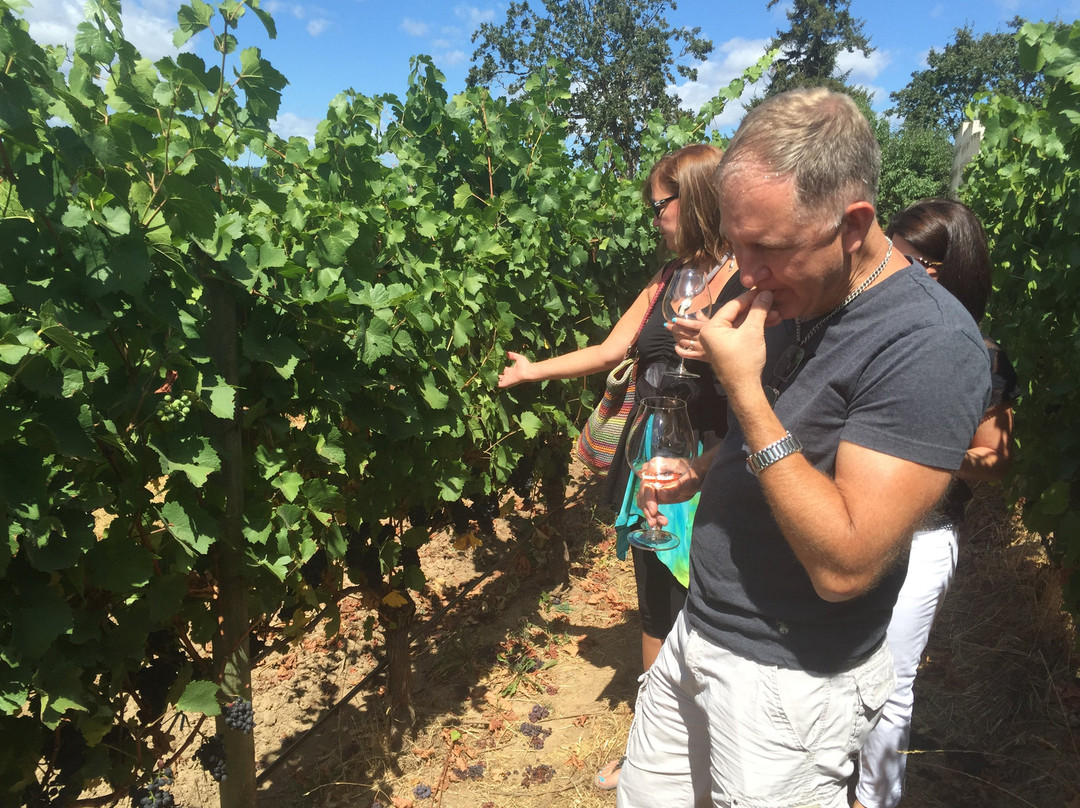 Oregon Vine2Wine Tours-尤金必去景点