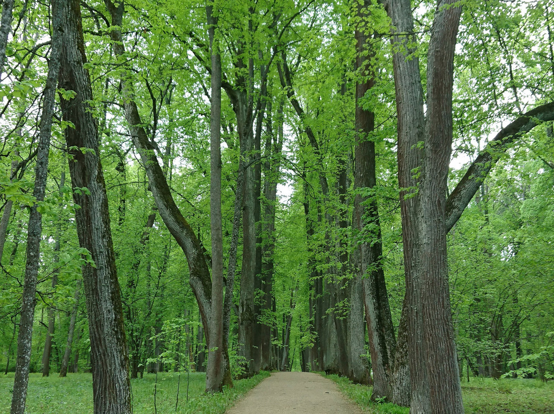 Museum-Reserve I. S. Turgenev Spasskoye-Lutovinovo-Spasskoye-Lutovinovo必去景点
