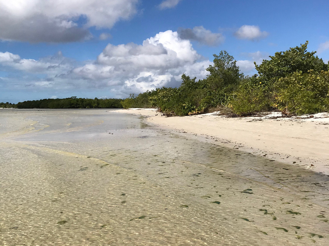 Bunche Beach景点图片