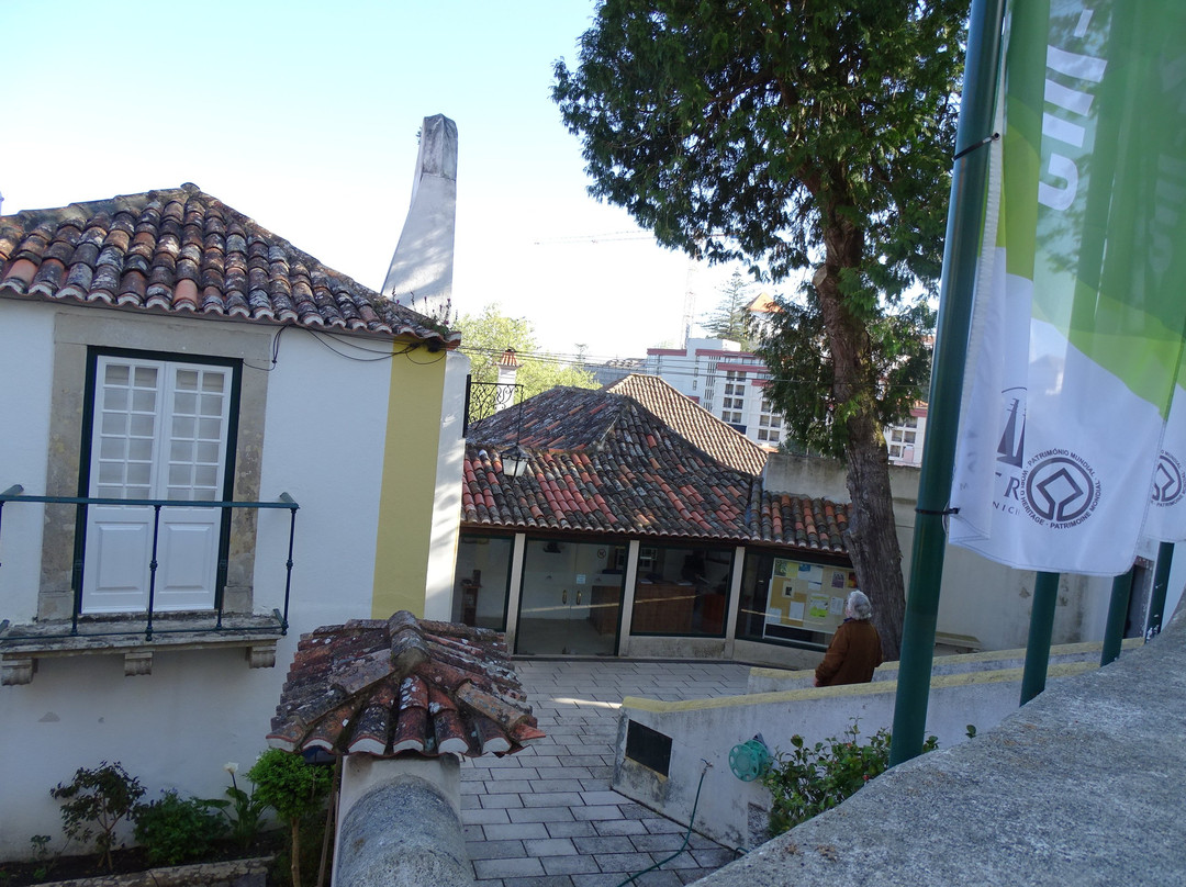 Museu Ferreira De Castro景点图片
