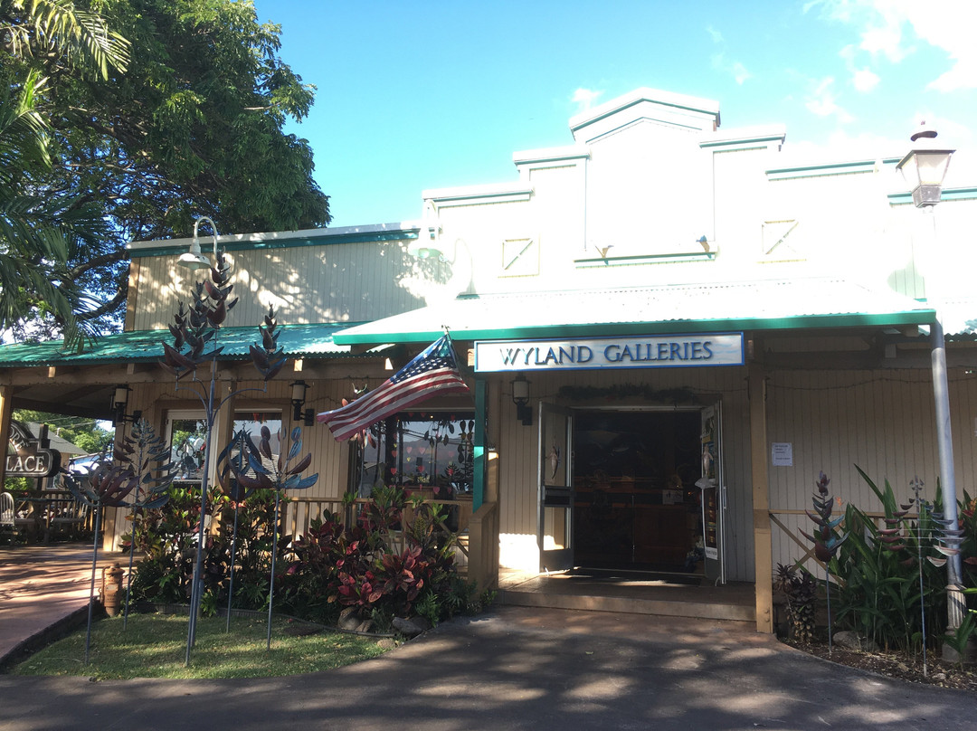 Wyland Galleries-哈雷瓦必去景点