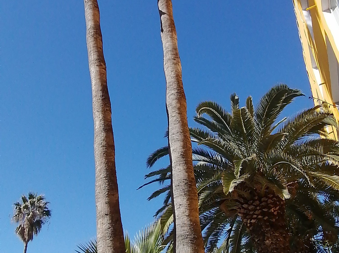 Hotel Sun Holiday Beach主图