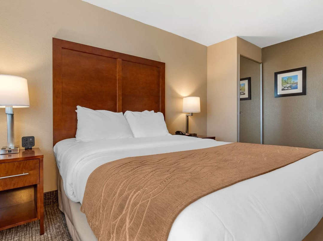 Comfort Inn & Suites South Hill I-85主图