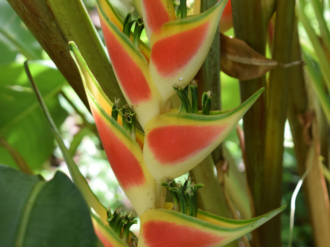 Sunnyside Garden-St. George's必去景点