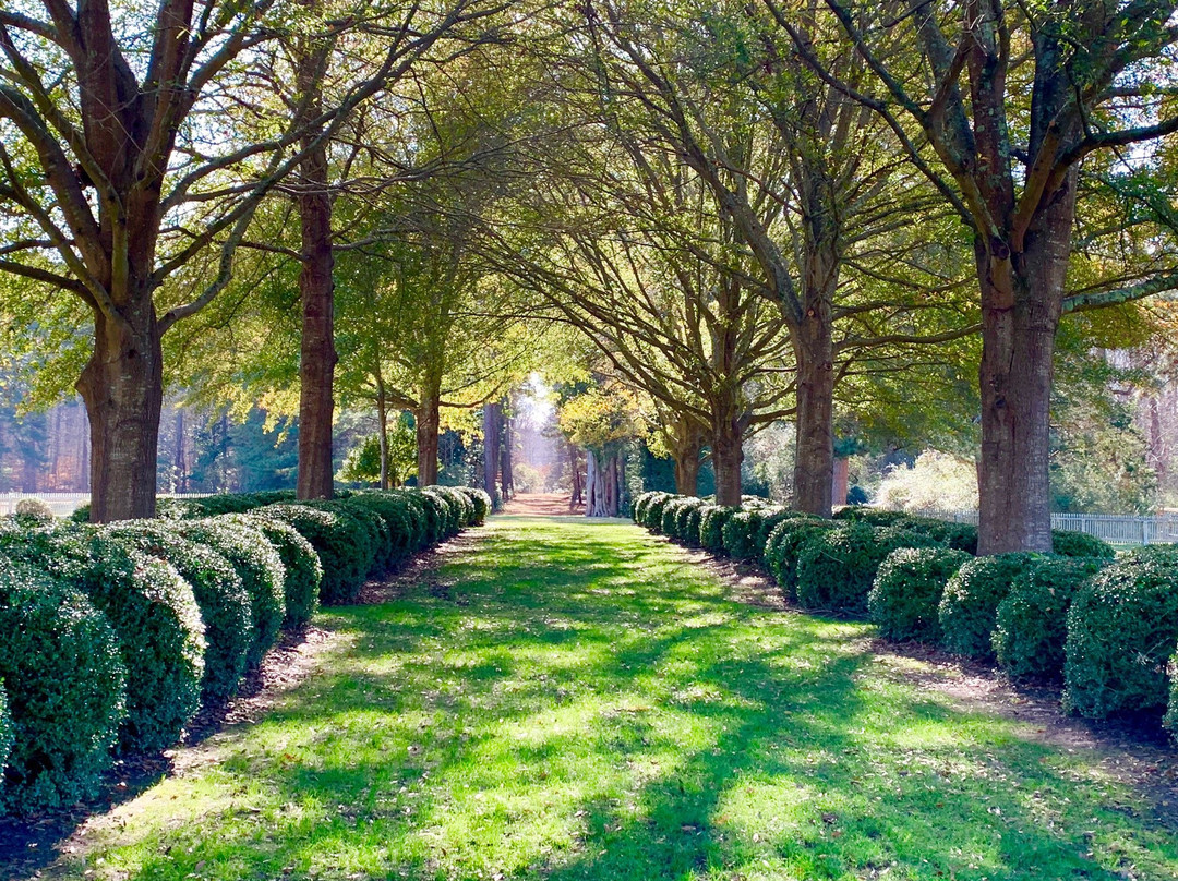 The Rockefellers' Bassett Hall-威廉斯堡必去景点