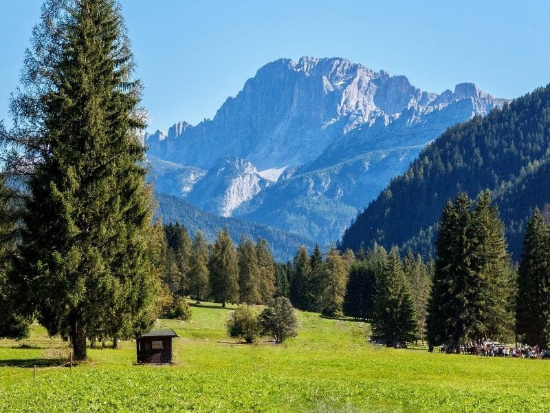 La Piana di Falcade景点图片
