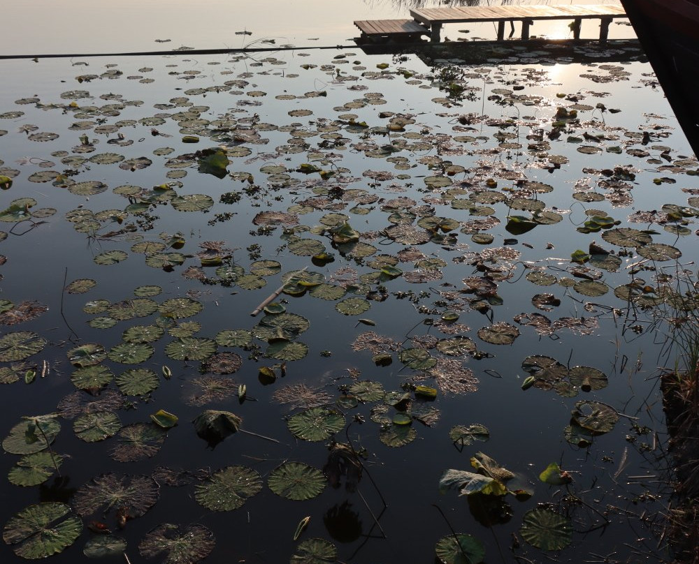 茵莱湖莲花Spa度假酒店主图