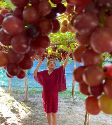 Climasenrose Grape Farm-San Fernando La Union必去景点