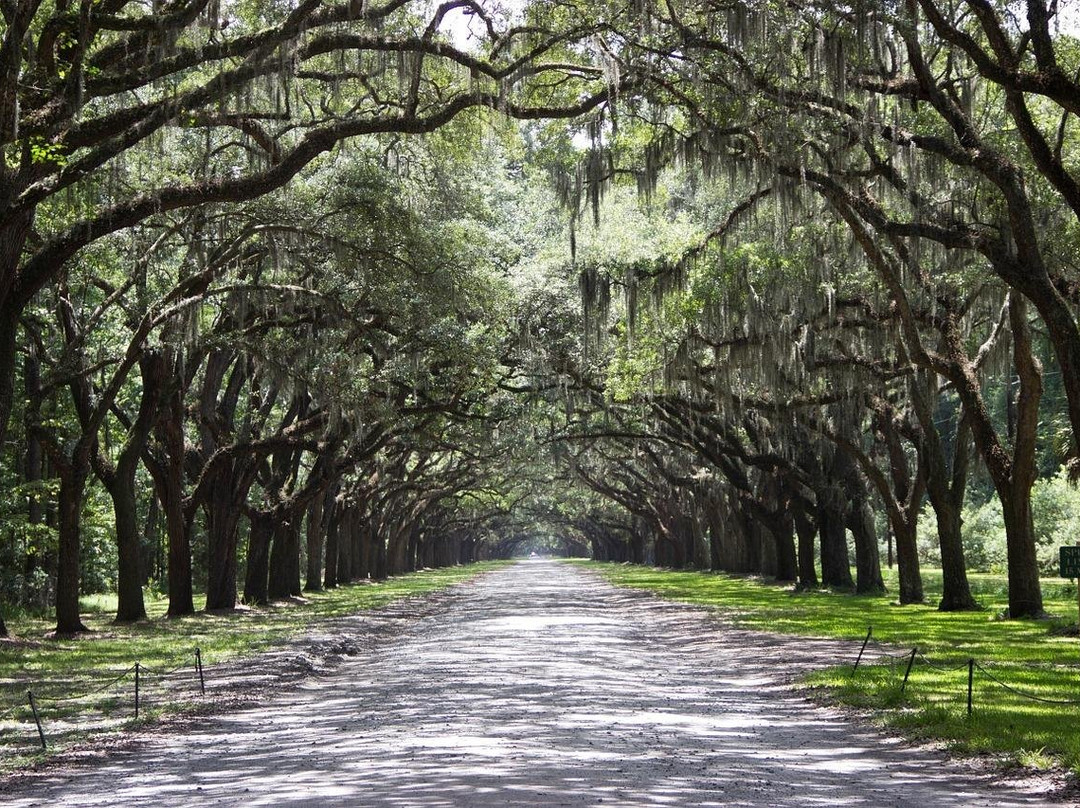 Drive with Action-旧金山必去景点