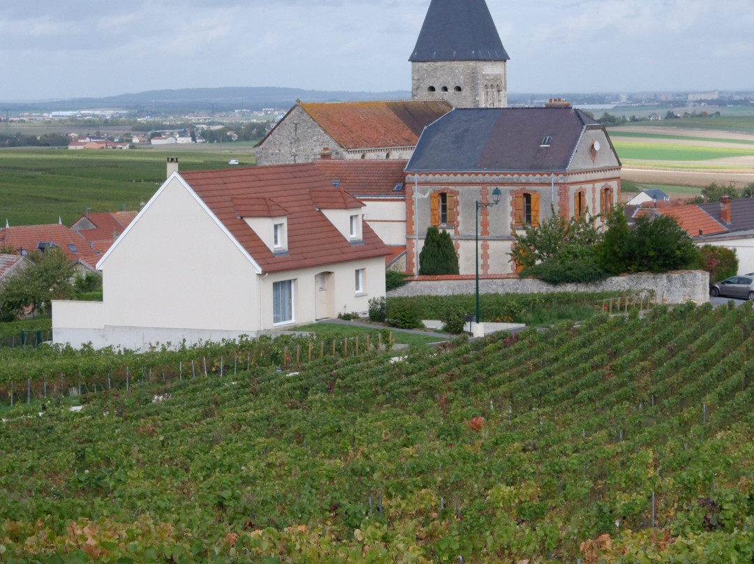Chateau de Sacy主图
