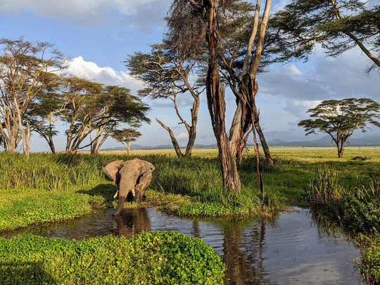 Lewa Wilderness主图