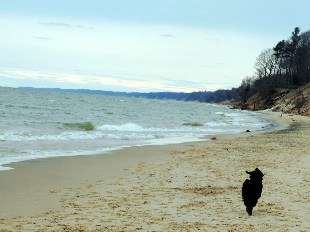 Kirk Park-West Olive必去景点