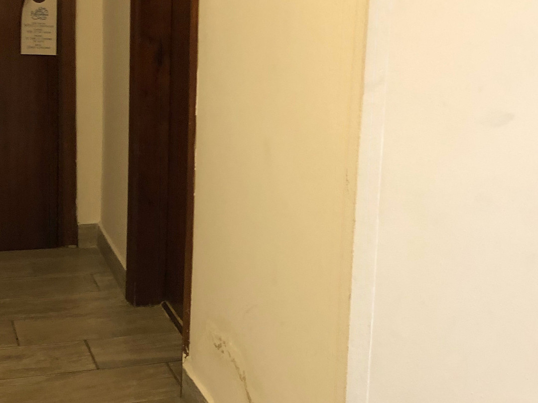 枫丹白露大酒店主图