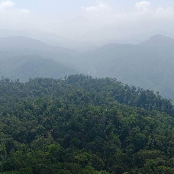 Nallamudi Viewpoint-Valparai必去景点