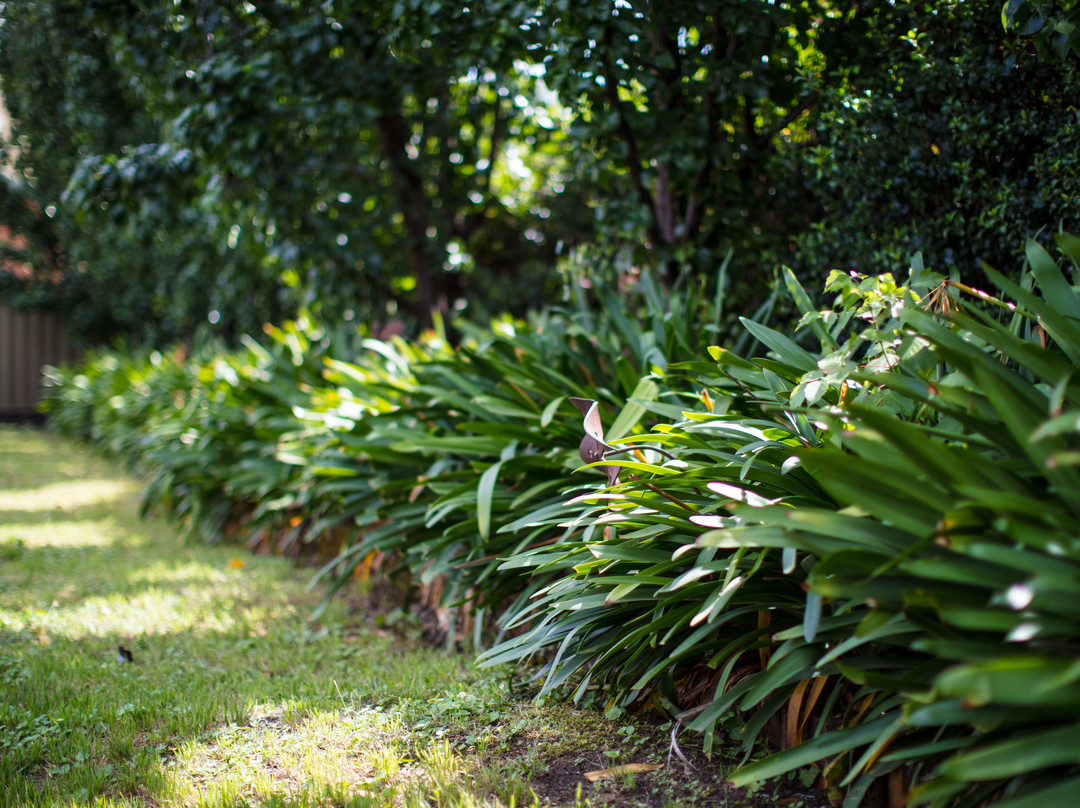 梅理韦尔汽车旅馆主图