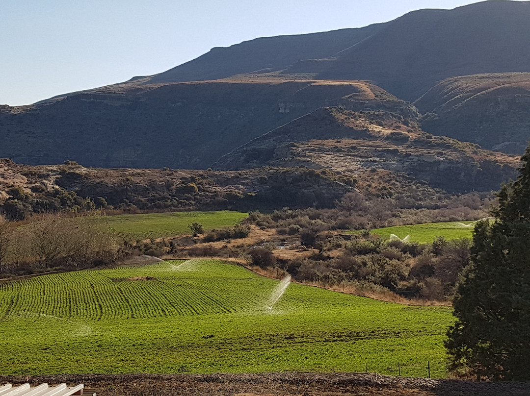 Sterkspruit旅游攻略图片