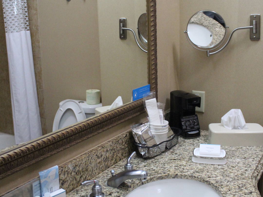 塞甘希尔顿恒庭酒店主图