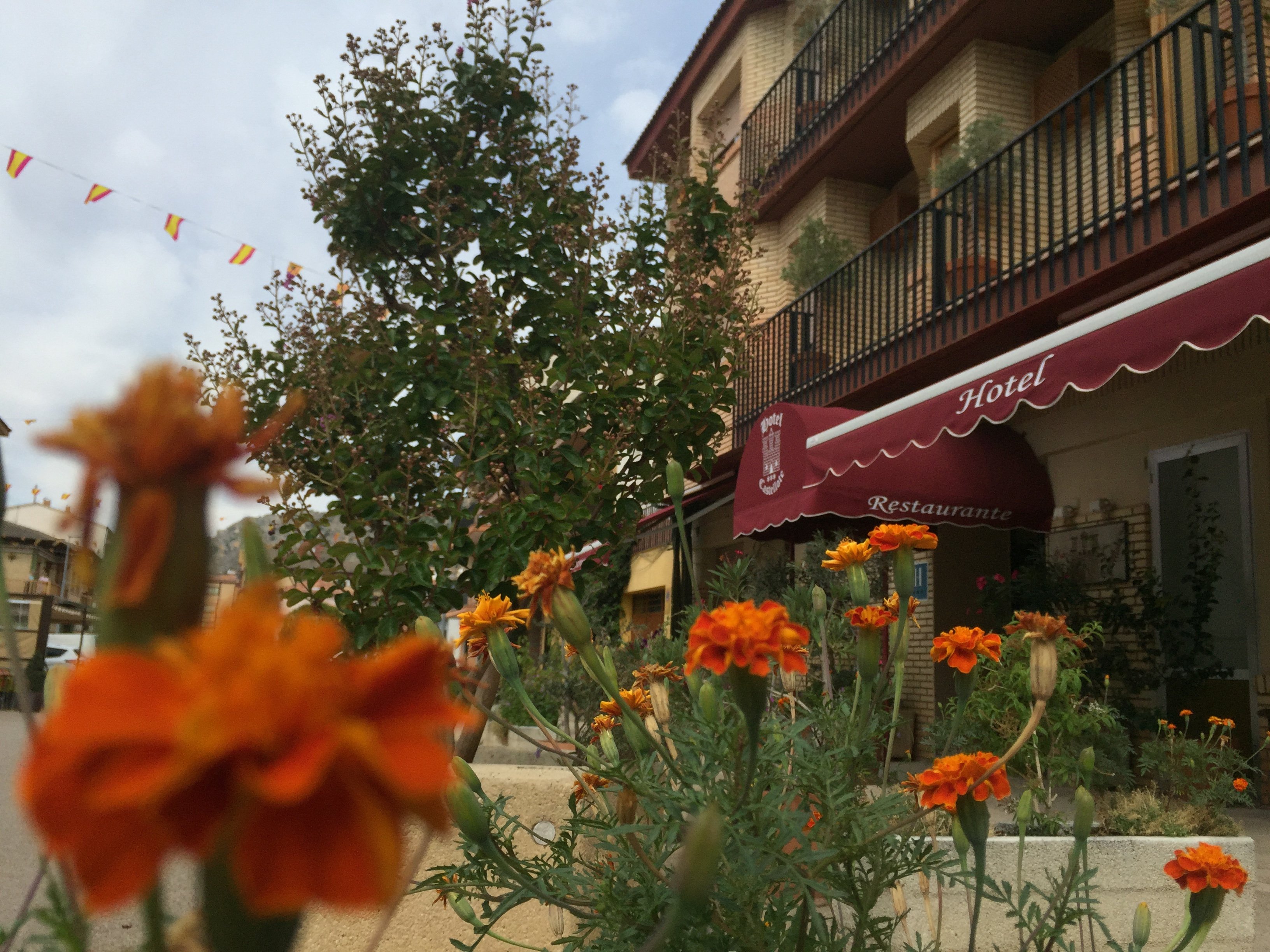 Hotel Castellote-官方