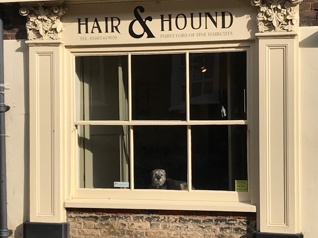 King Street-诺威奇必去景点