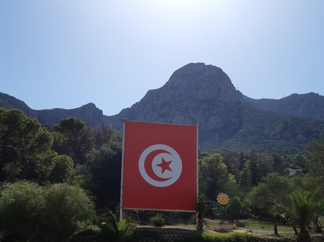 Tunisia Guided Tours-突尼斯必去景点