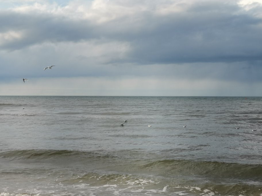 Niechorze Beach景点图片