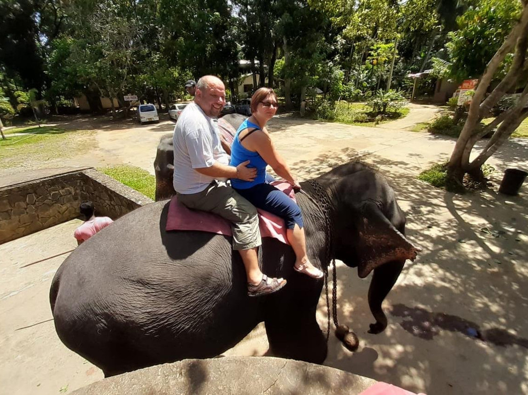 Maha Tours and Travels Sri Lanka景点图片