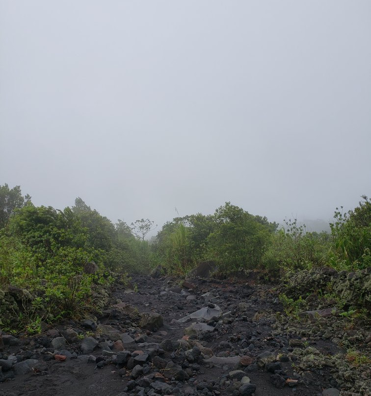 La Fortuna Arenal Volcano Rain Forest Reserve-福德圣卡洛斯必去景点