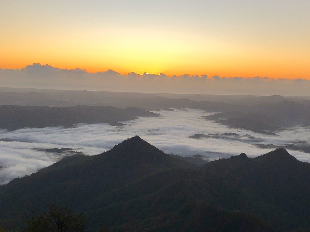 Mount Warning Summit Trail景点图片