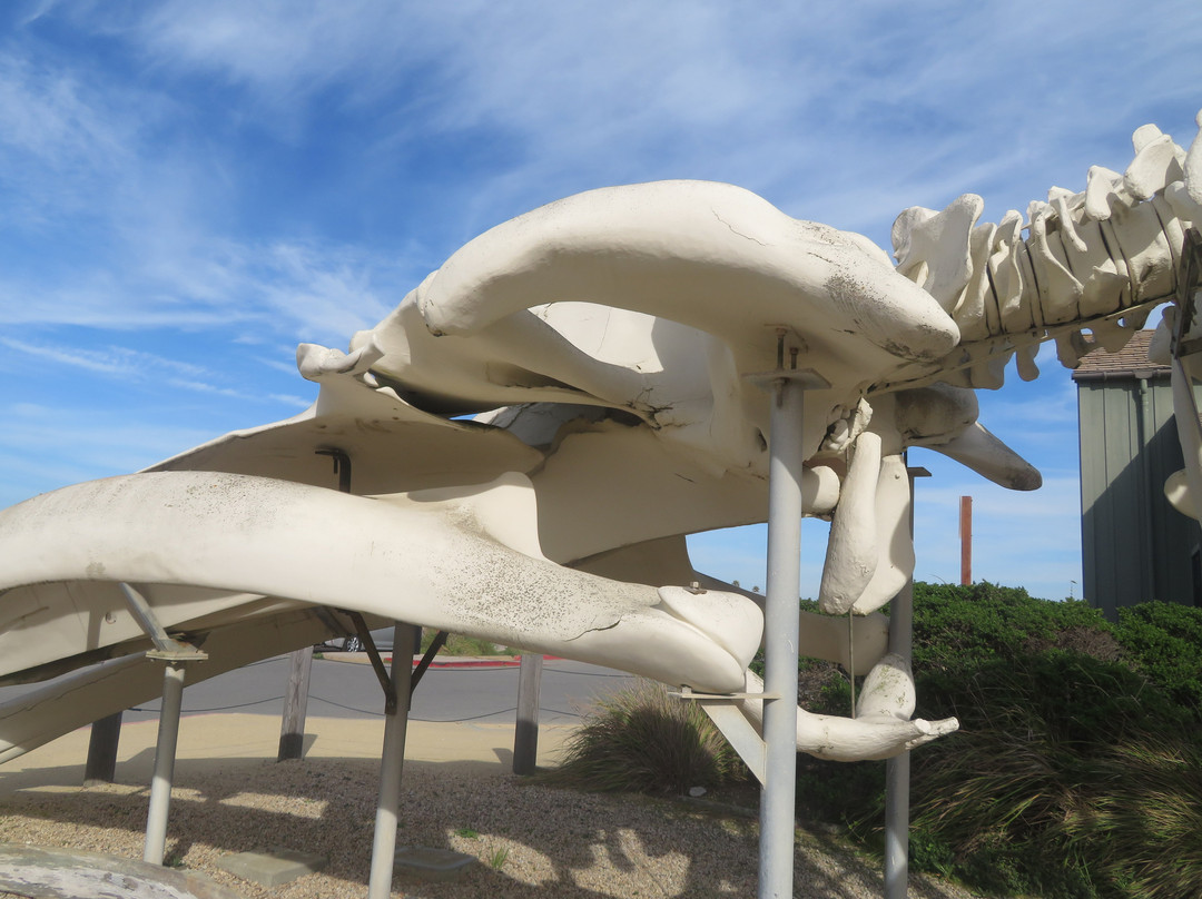 Seymour Marine Discovery Center-圣克鲁斯必去景点