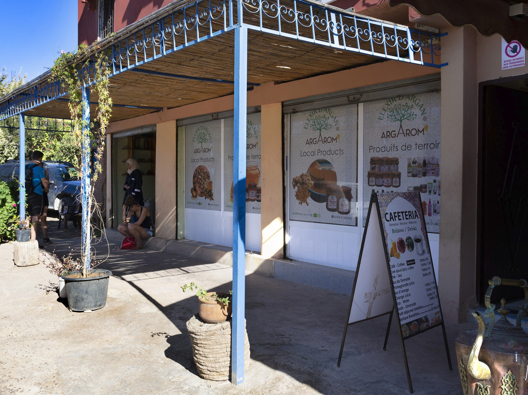 Elixir D'argane-阿加迪尔必去景点