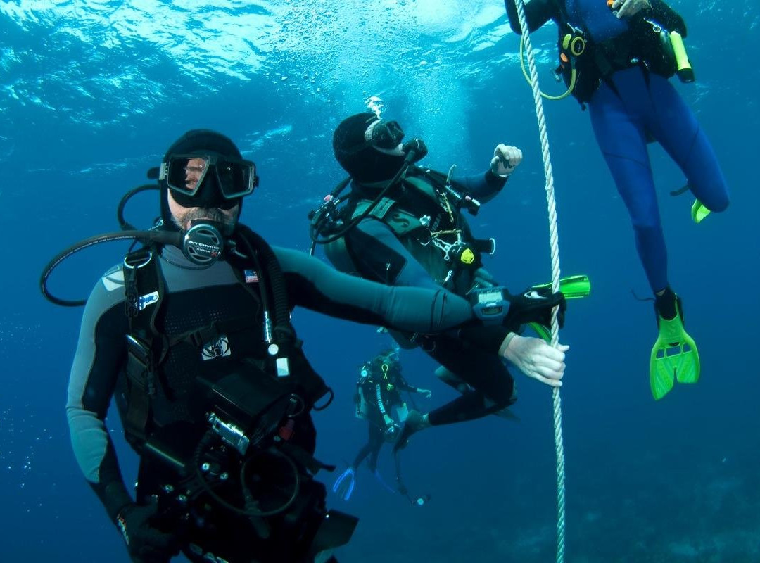 Abu Dhabi Diving Center-阿布扎比必去景点