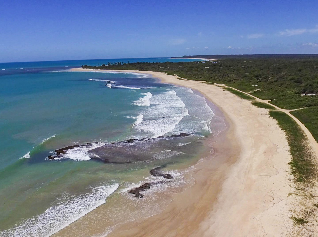 Praia de Patimirim-特兰科苏必去景点