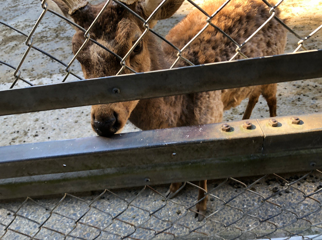 Kashima Jingu Kaen-鹿岛市必去景点