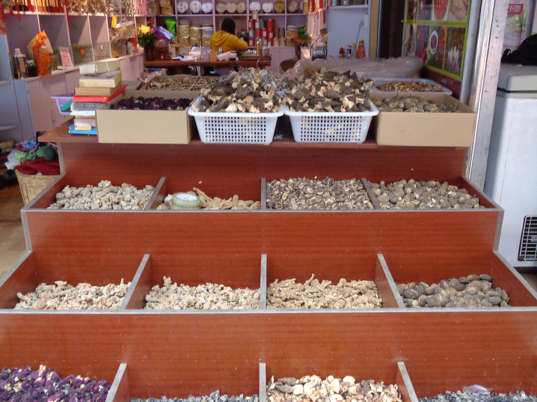 古城忠义市场-丽江市必去景点