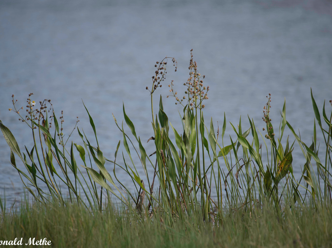 Colt Creek State Park-莱克兰必去景点