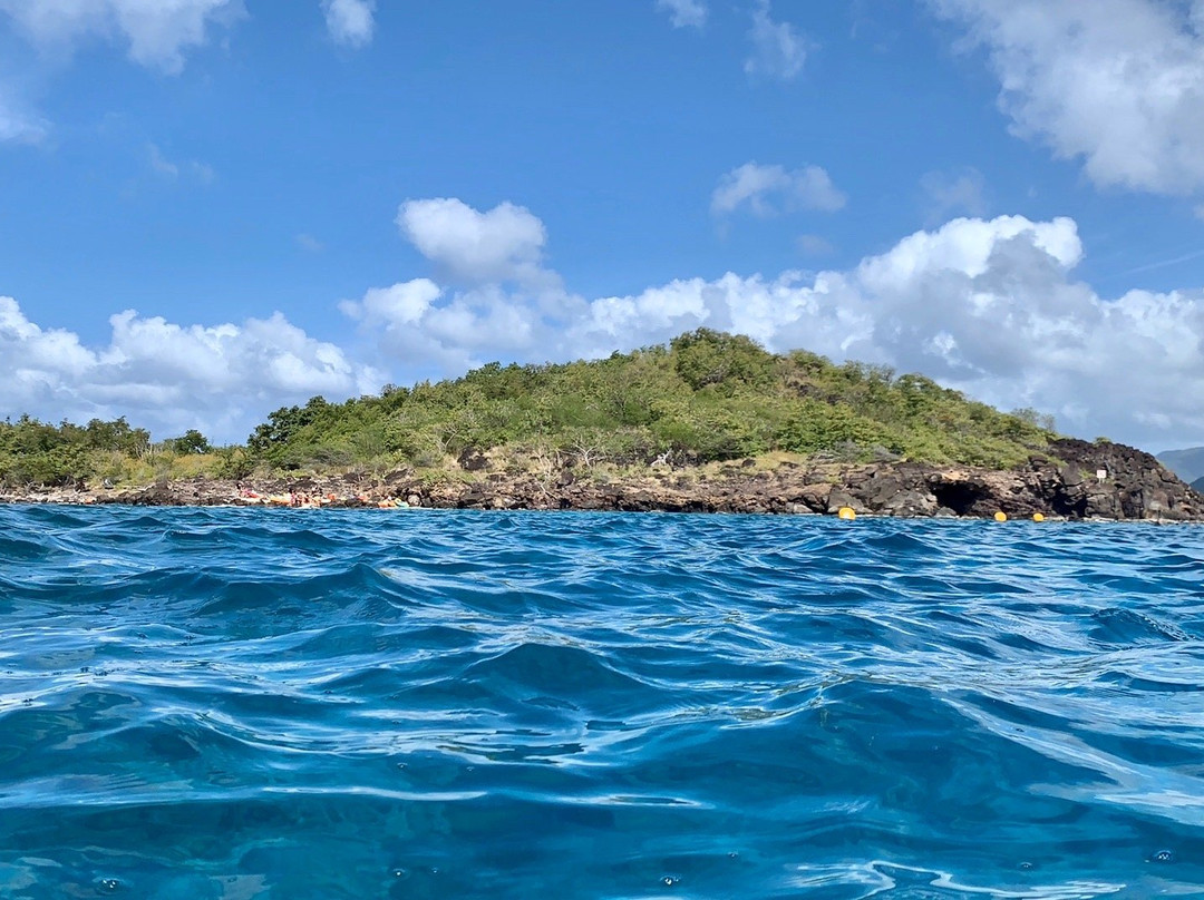 GwadActivites-Le Gosier必去景点