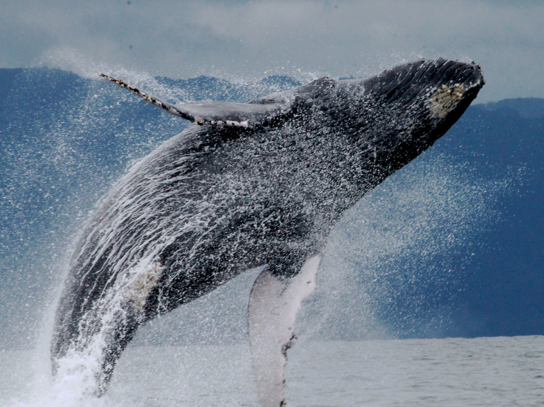 Vallarta Natural Experience-瓦拉塔港必去景点