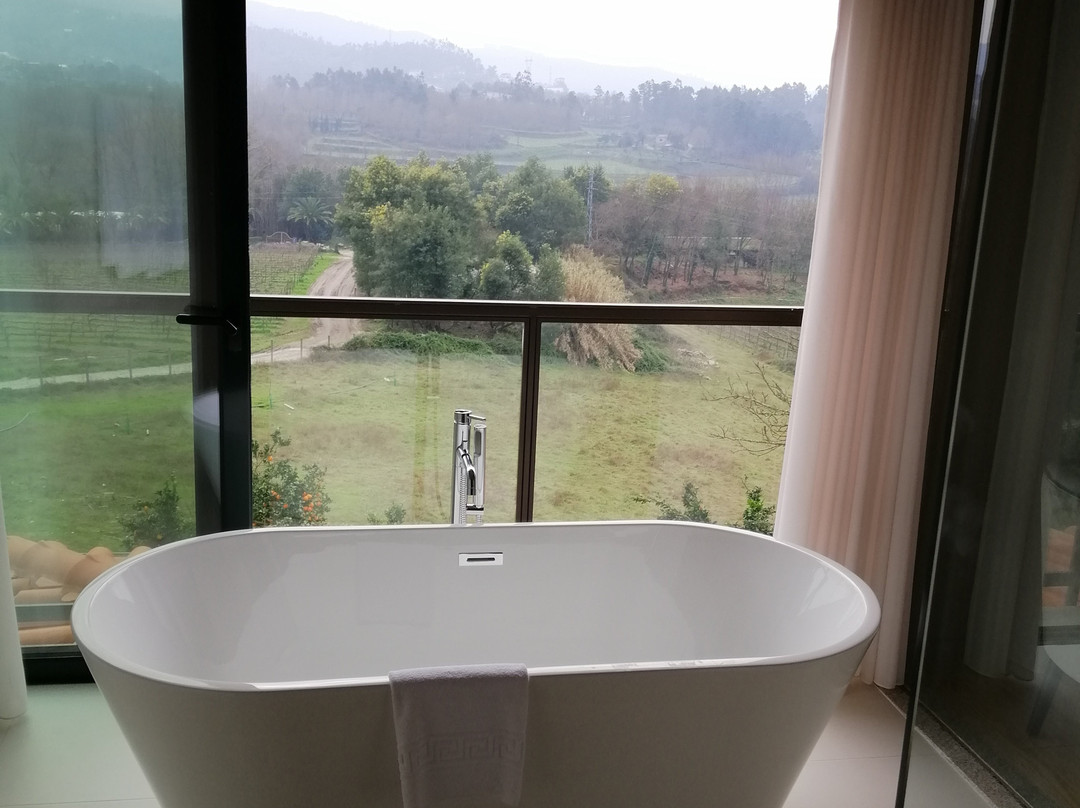 Quinta Do Burgo - Nature Hotel主图