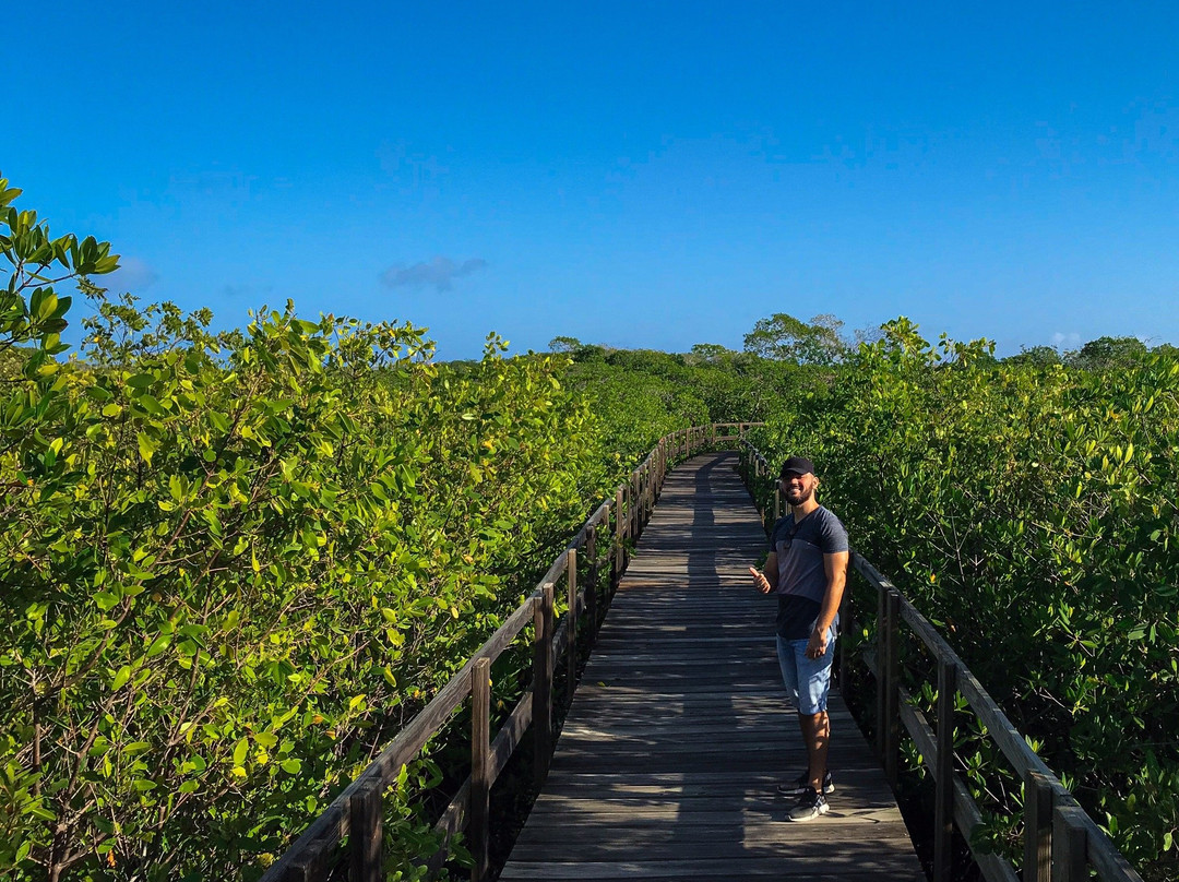 Manglares de Old Point National Park-圣安德烈斯必去景点