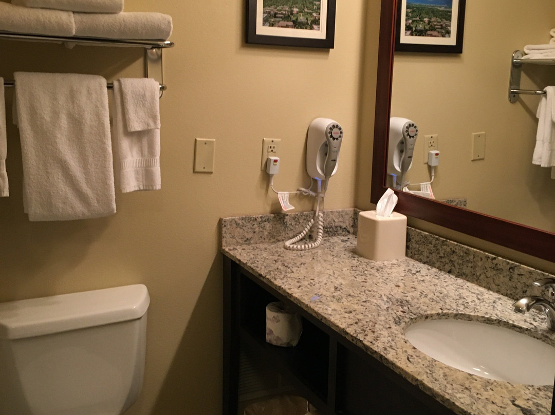 Comfort Inn University主图