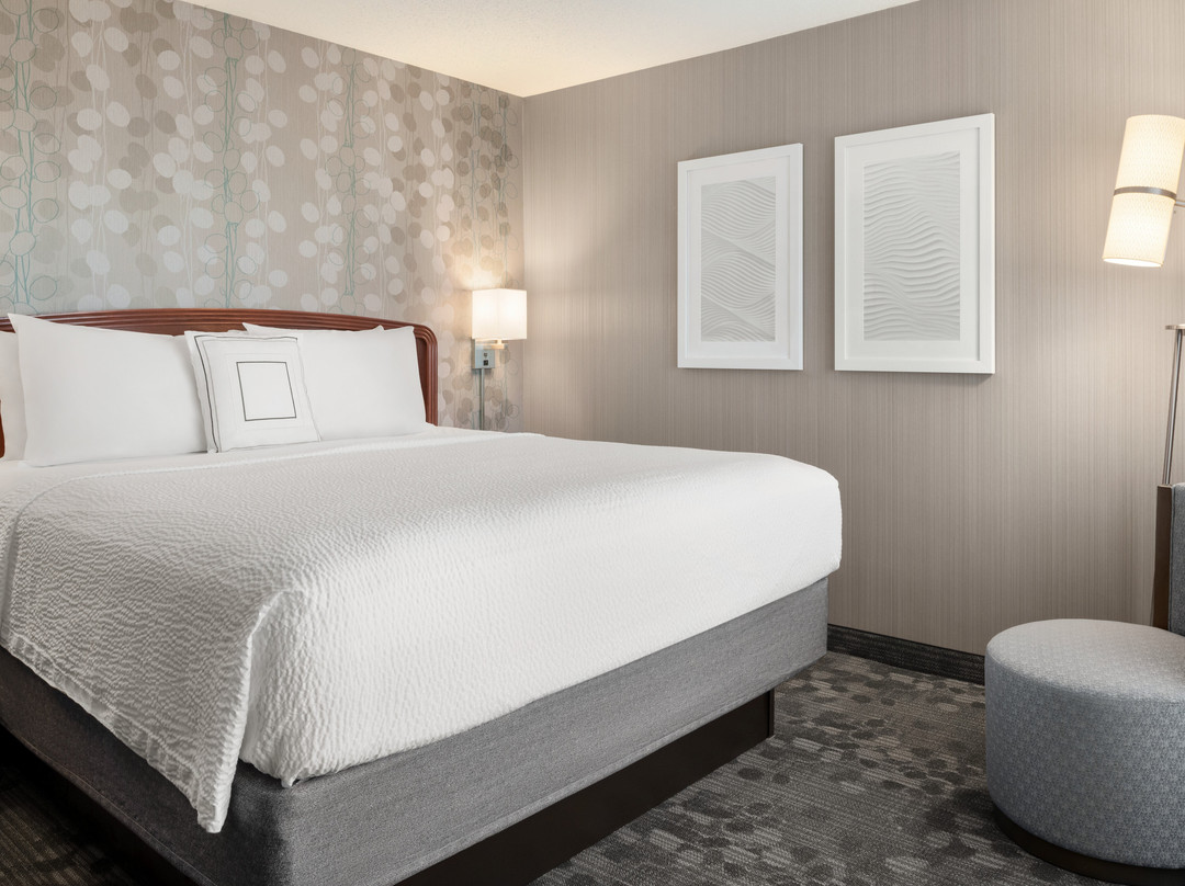 Carol Stream酒店住宿-Courtyard by Marriott Chicago Bloomingdale