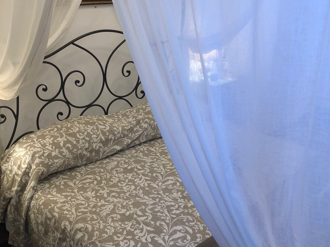 B&B Pisa Tower主图