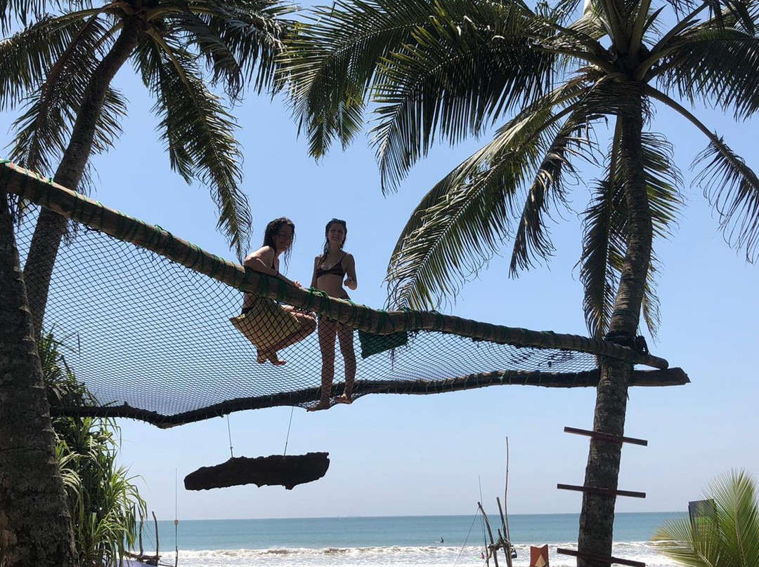 The Green Rooms主图