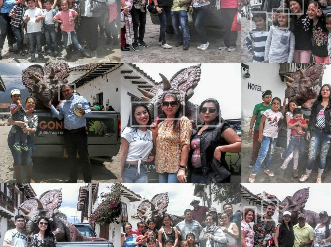 Gondava El Gran Valle de los Dinosaurios-莱瓦镇必去景点