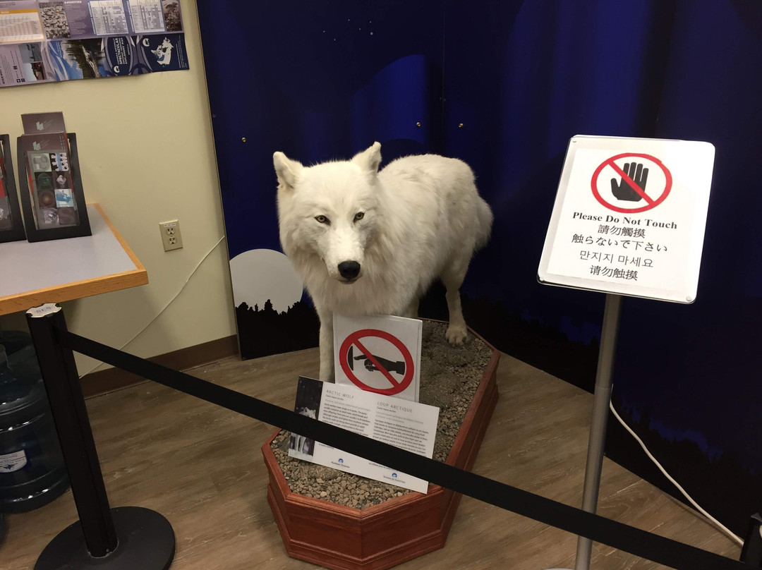 Yellowknife City Hall & Park-黄刀镇必去景点