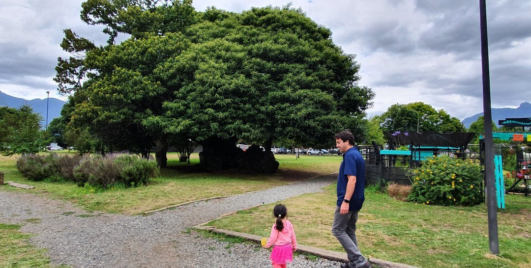 Plaza de Armas de Pucon-普孔必去景点