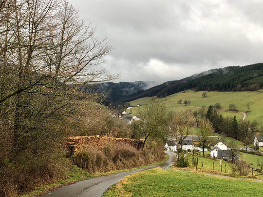 Wüllner's Landgasthof主图