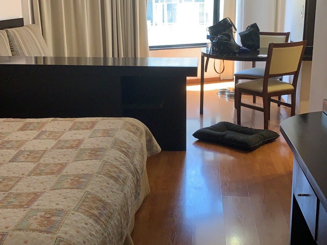 乌尔奇萨公寓&套房酒店主图