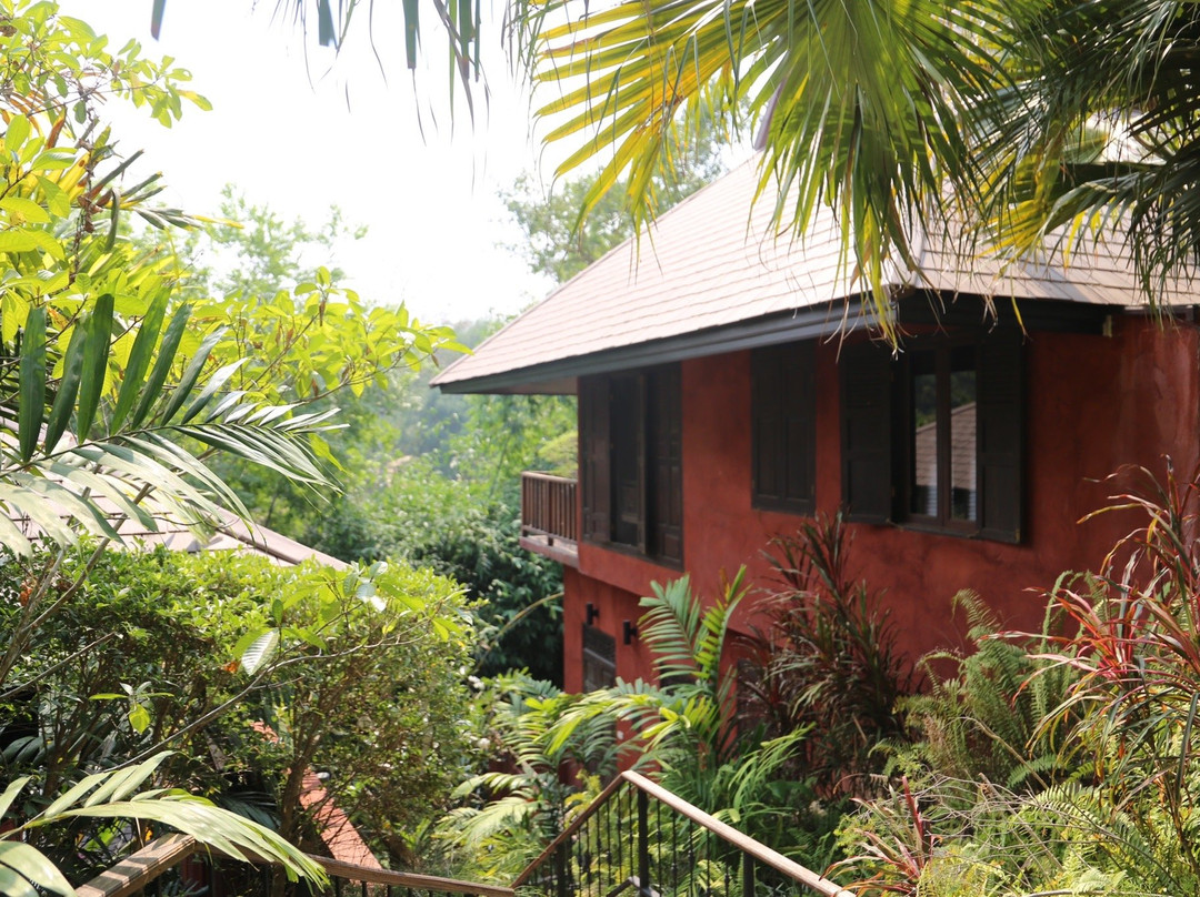 Tree Tara Resort主图